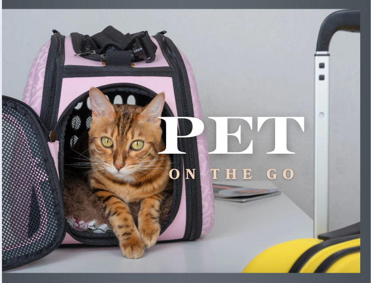 PET Travel Bags